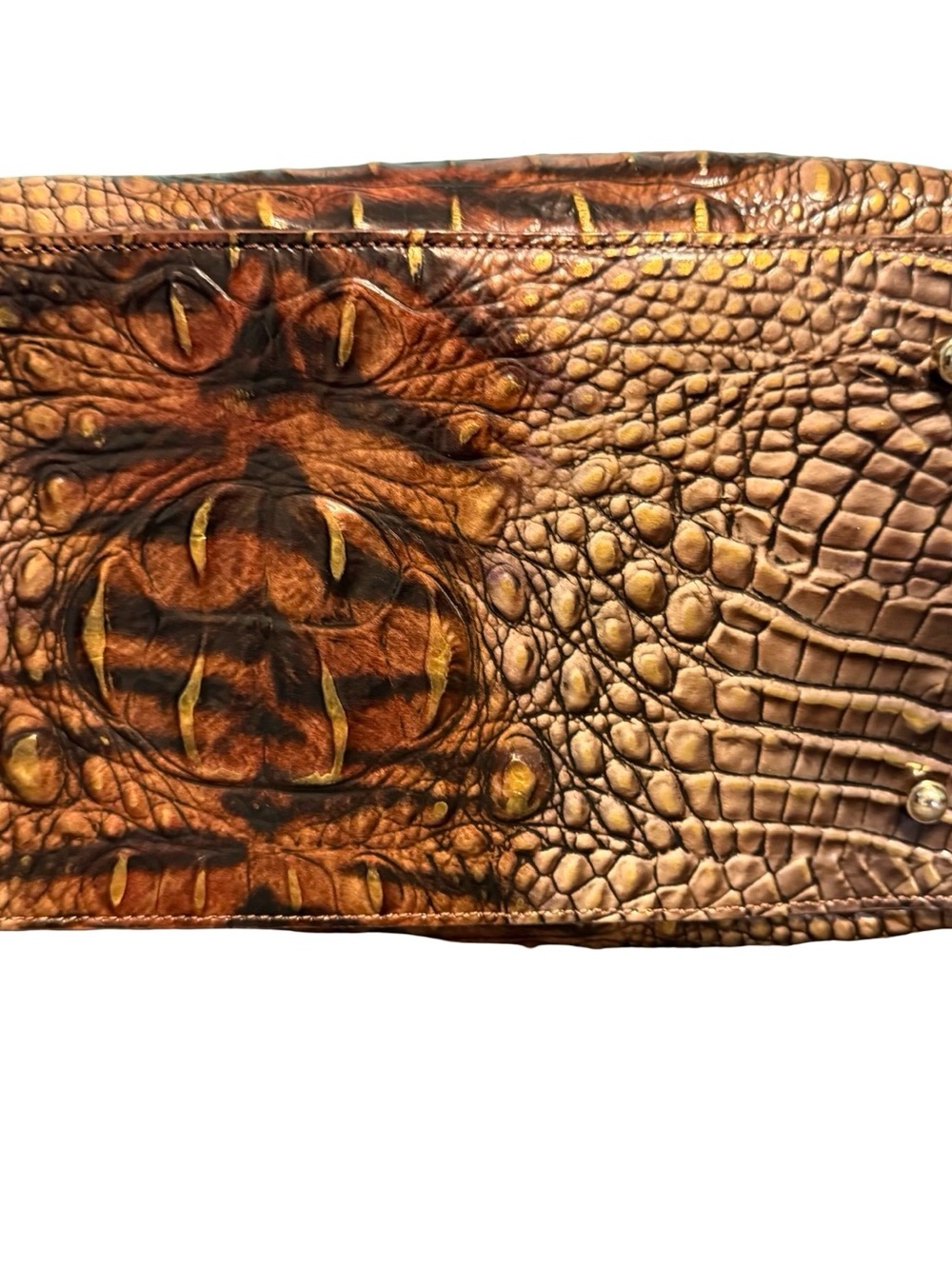 Brahmin Carla in Instinct EUC - Picture 4 of 9